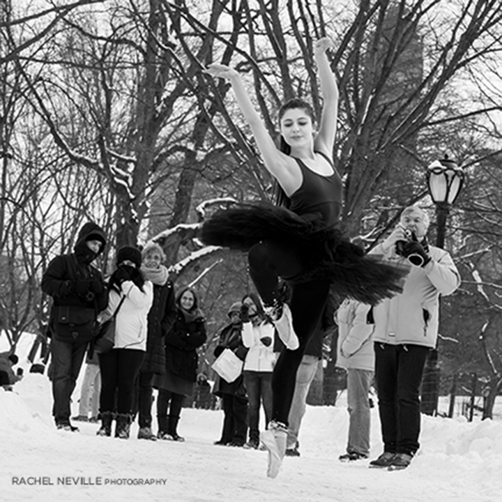 black white snow photos street lamo central park