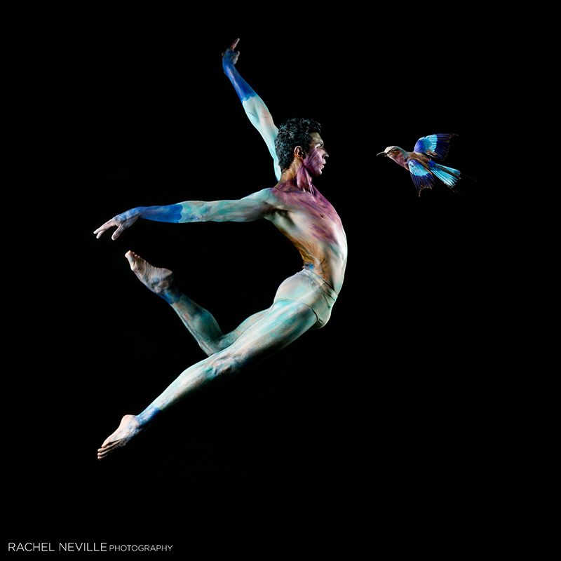 dance photography art photo rachel neville